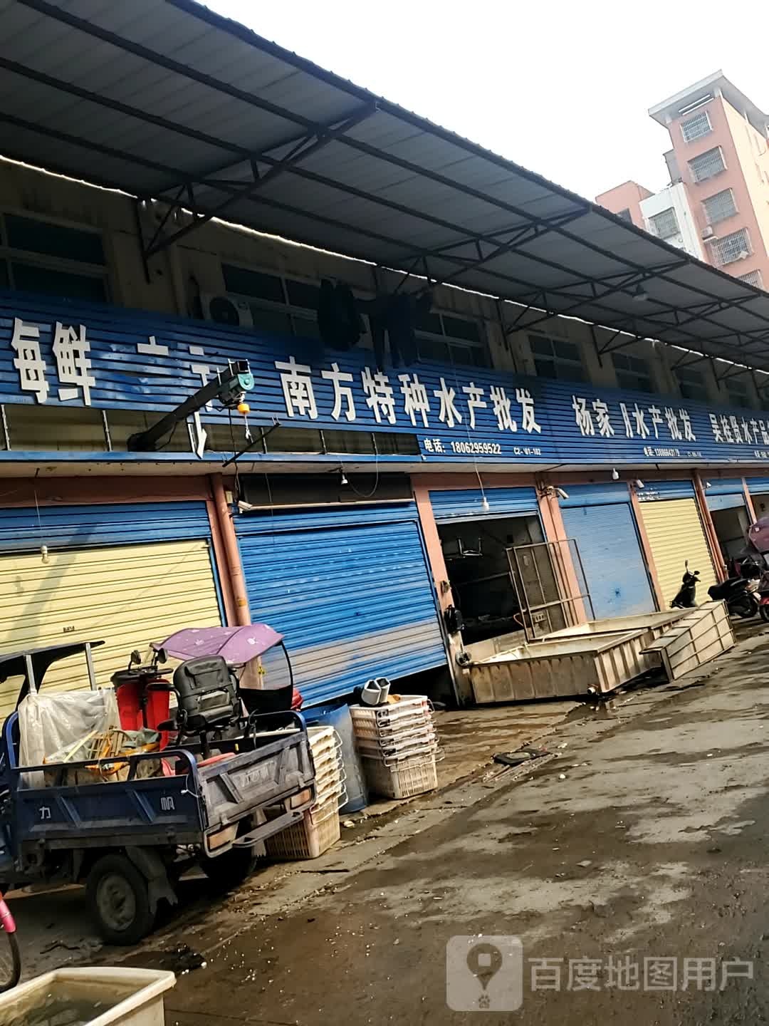 南方特种水产批发