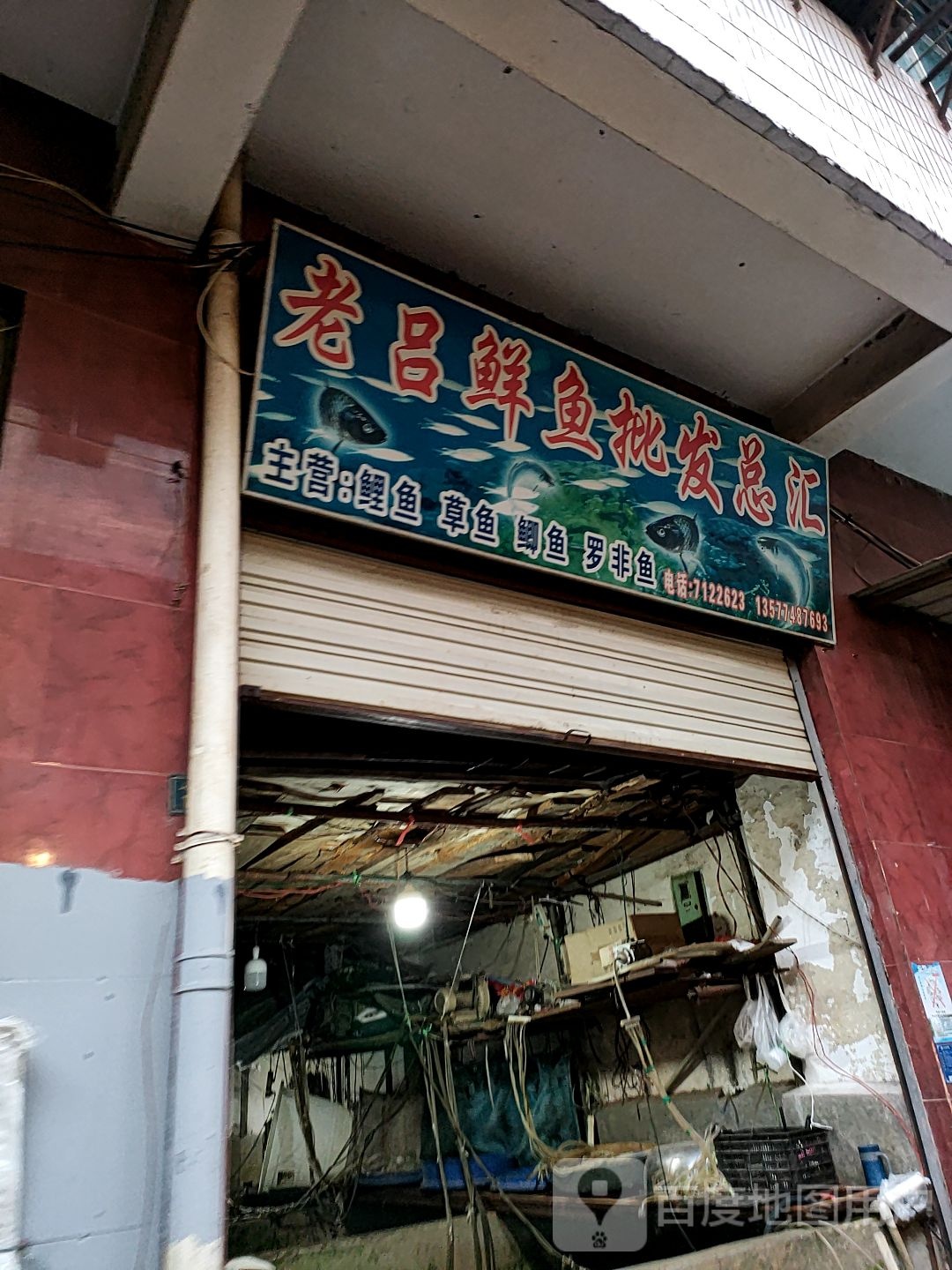 老吕鲜鱼批发总汇