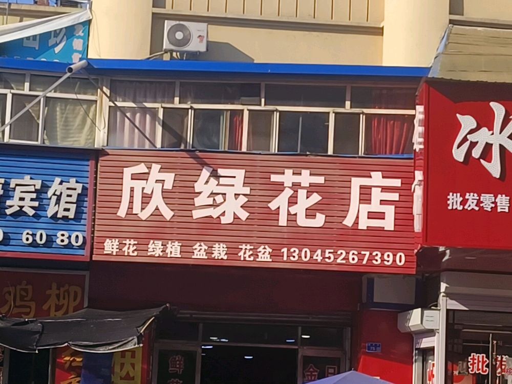 欣绿花店