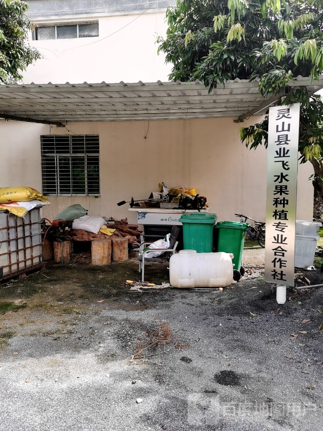 业飞水果合作社