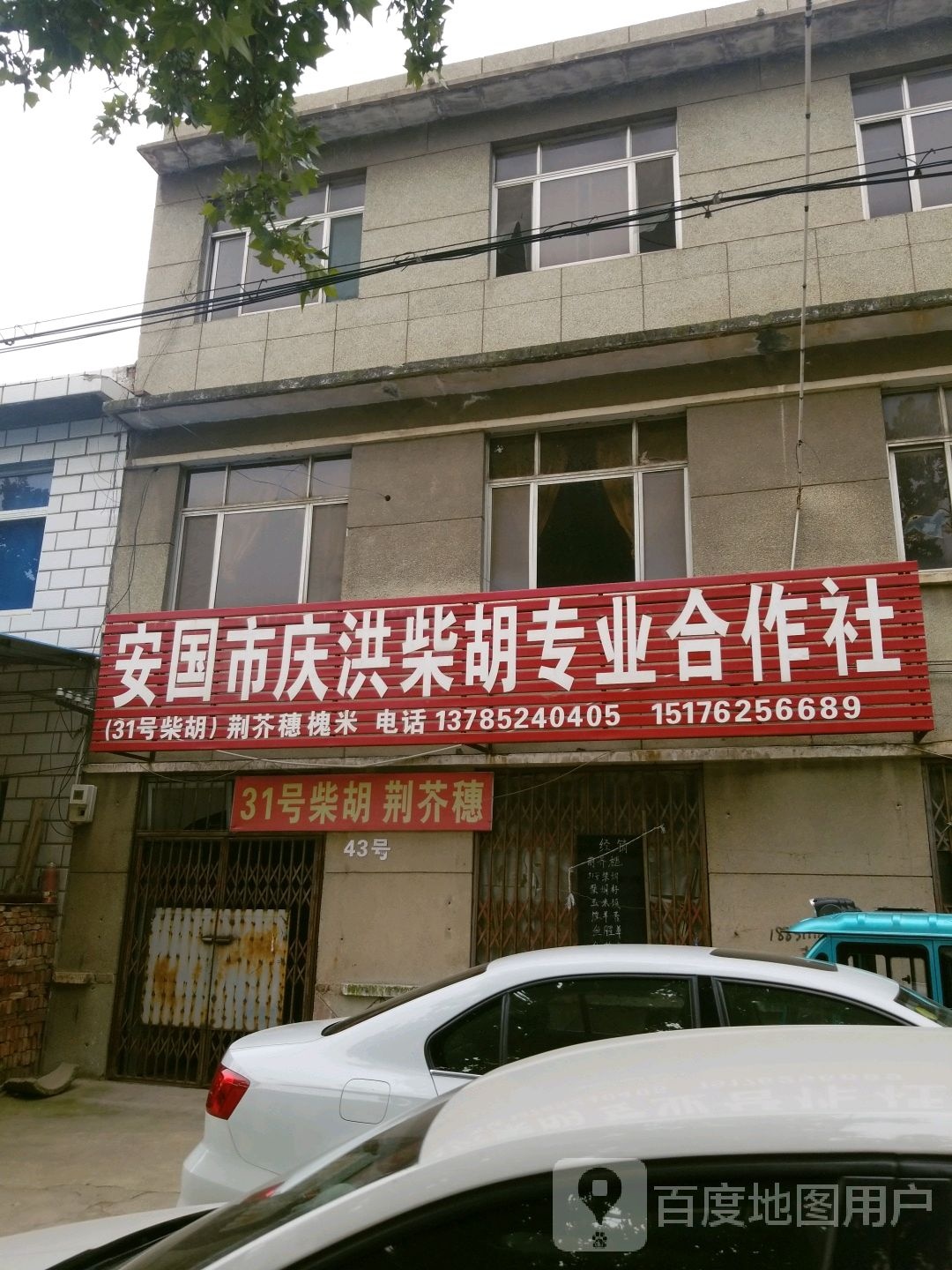 安国市顺天知母合作社