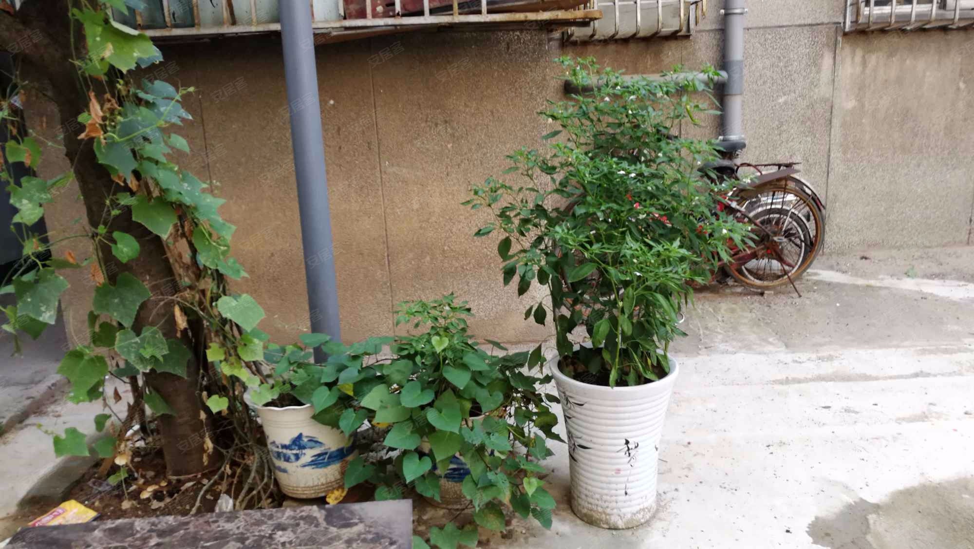 黄金局家属院