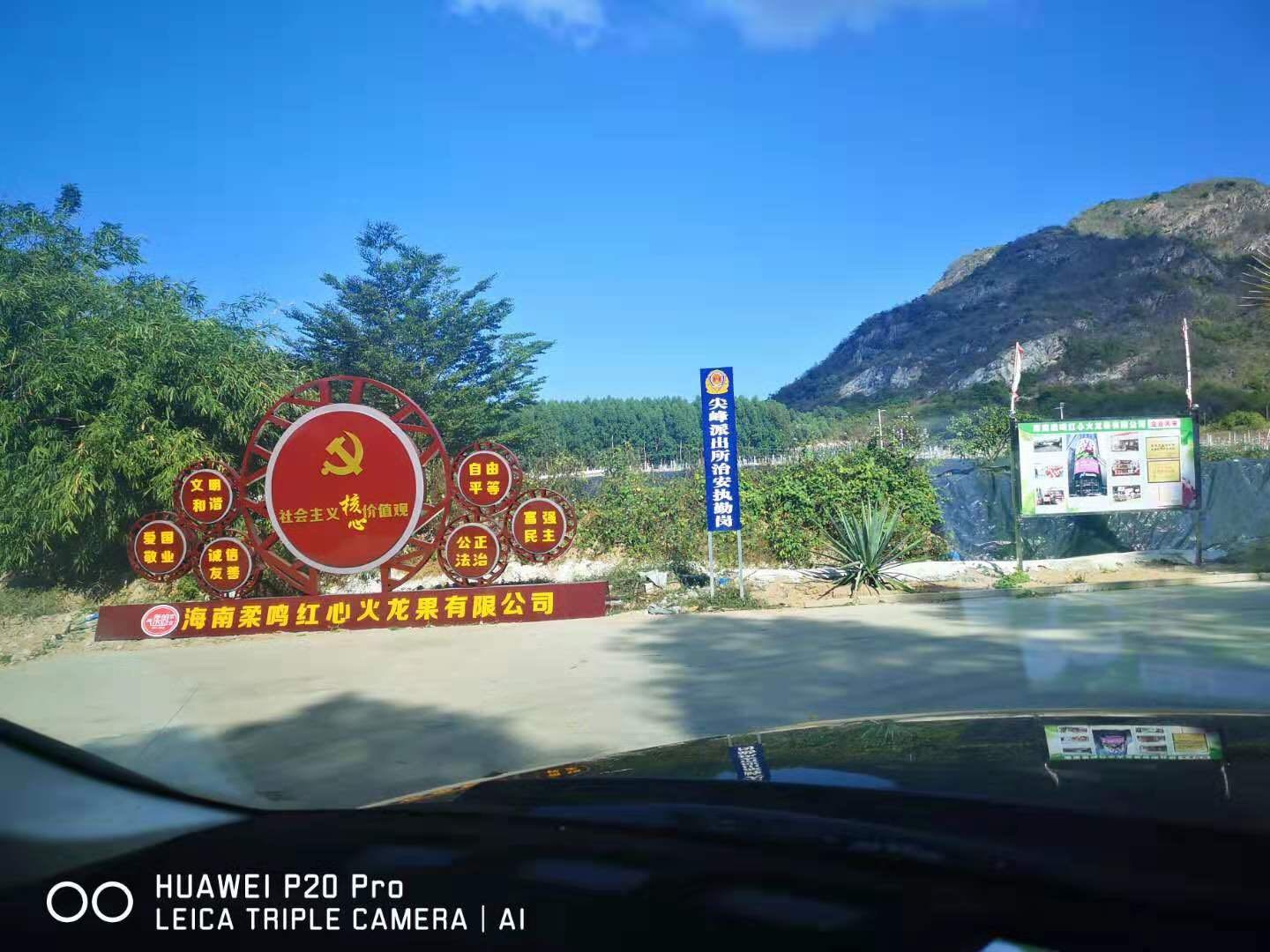 海南柔鸣红心火龙果有限公司