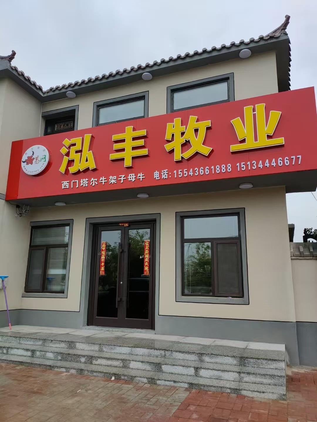吉林泓丰牧业西门塔尔牛架子母牛有限公司