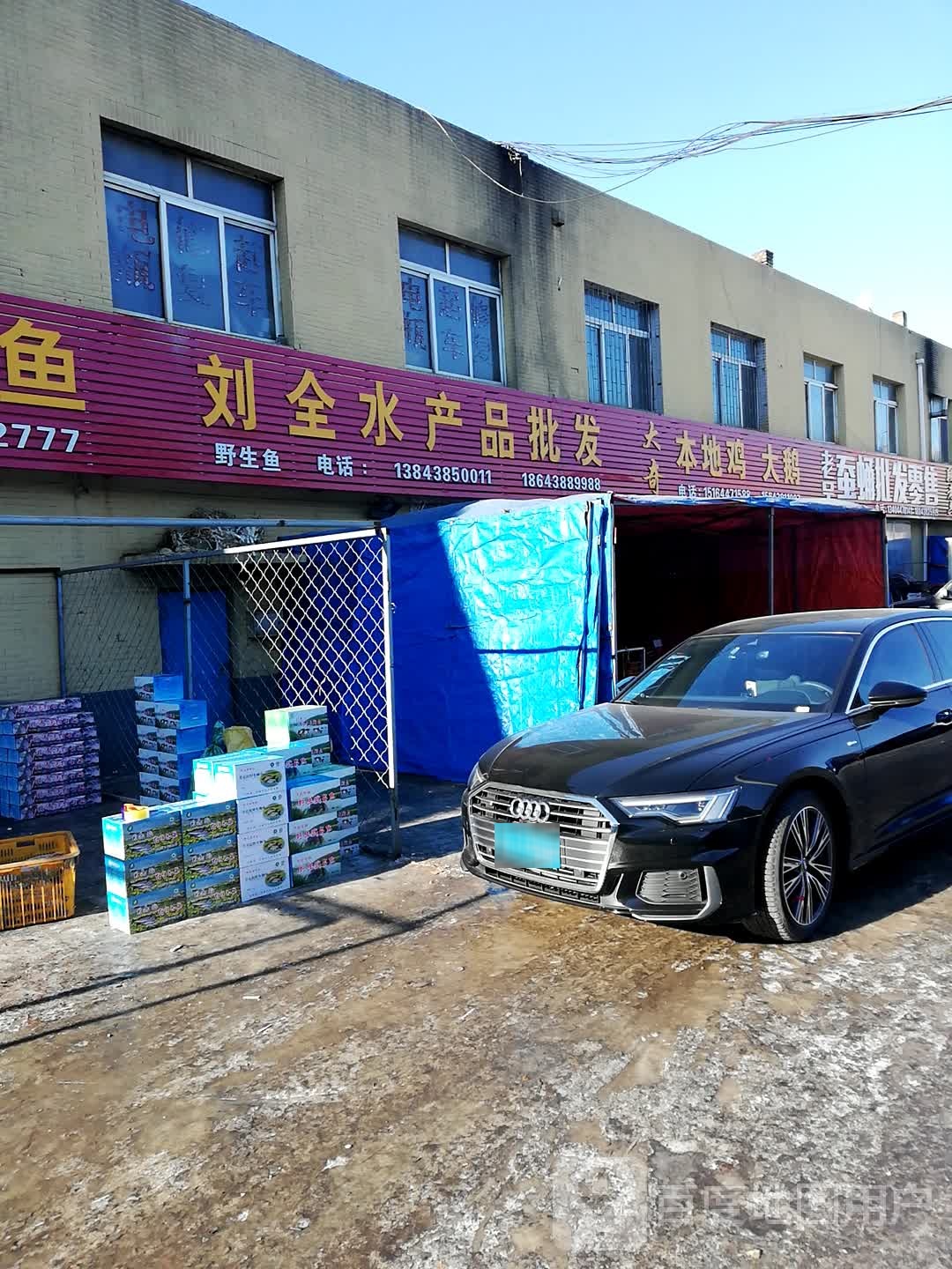 刘全水产频批发