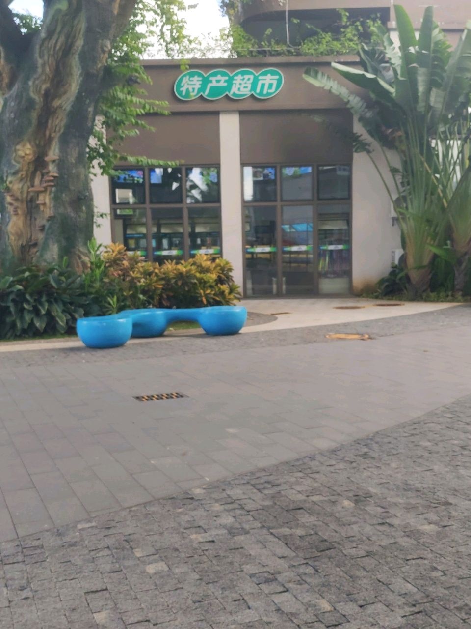 海南白石岭旅游区商业街-特产超市