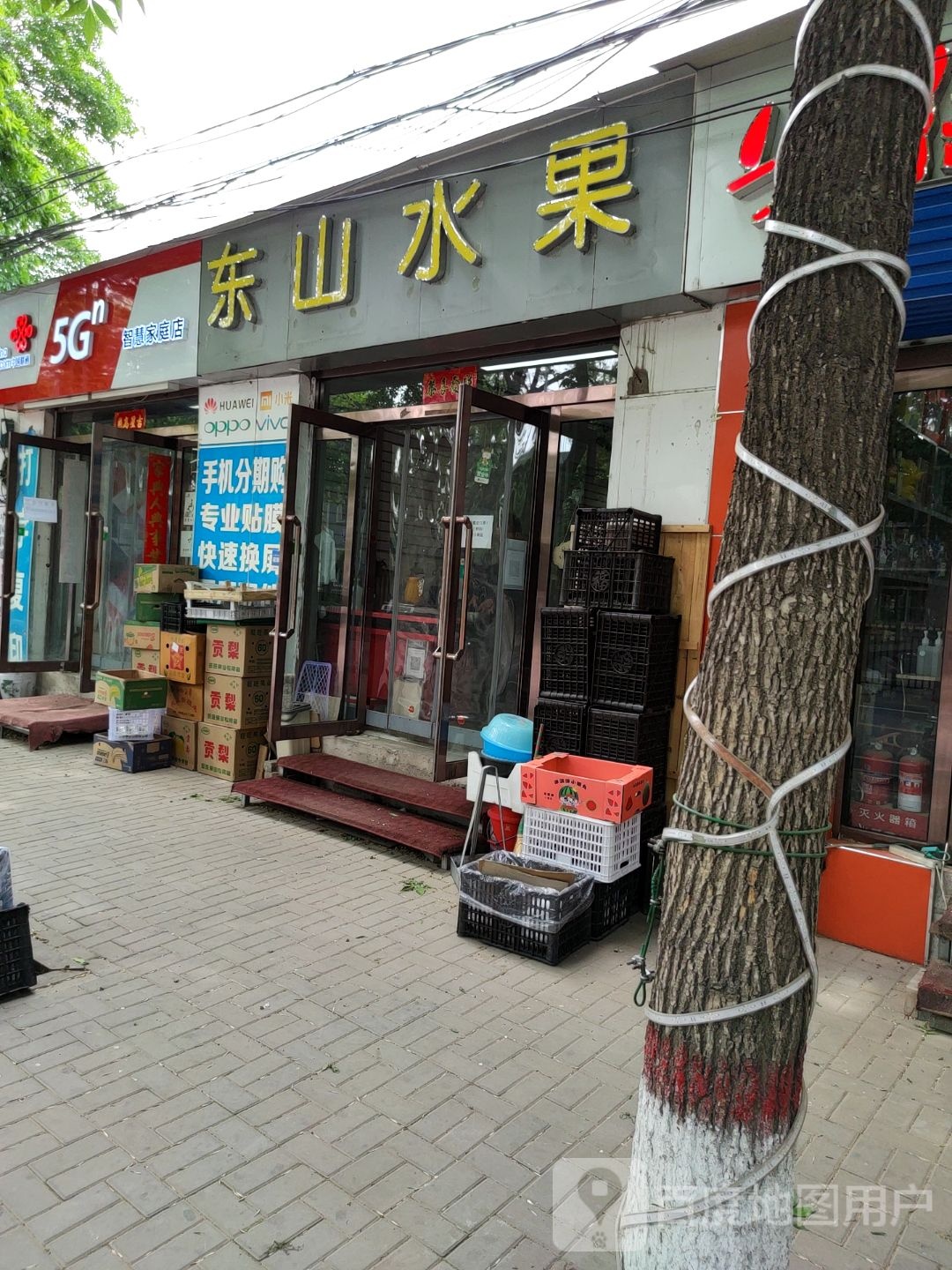 东山水果
