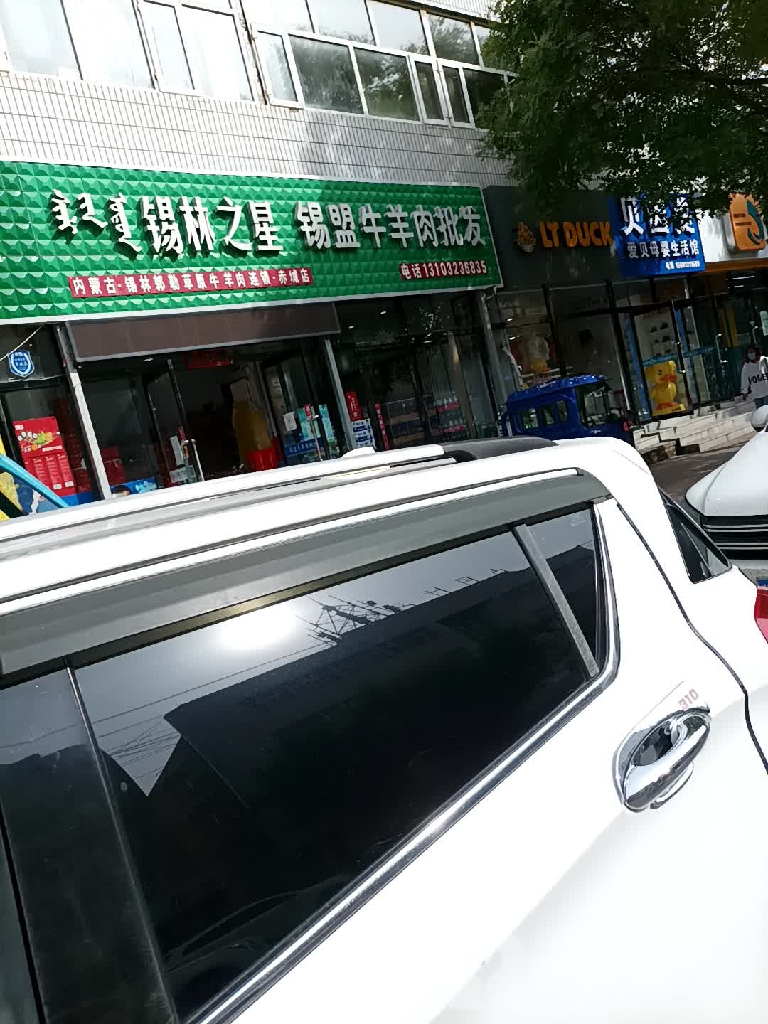 锡林之星锡盟牛羊肉批发