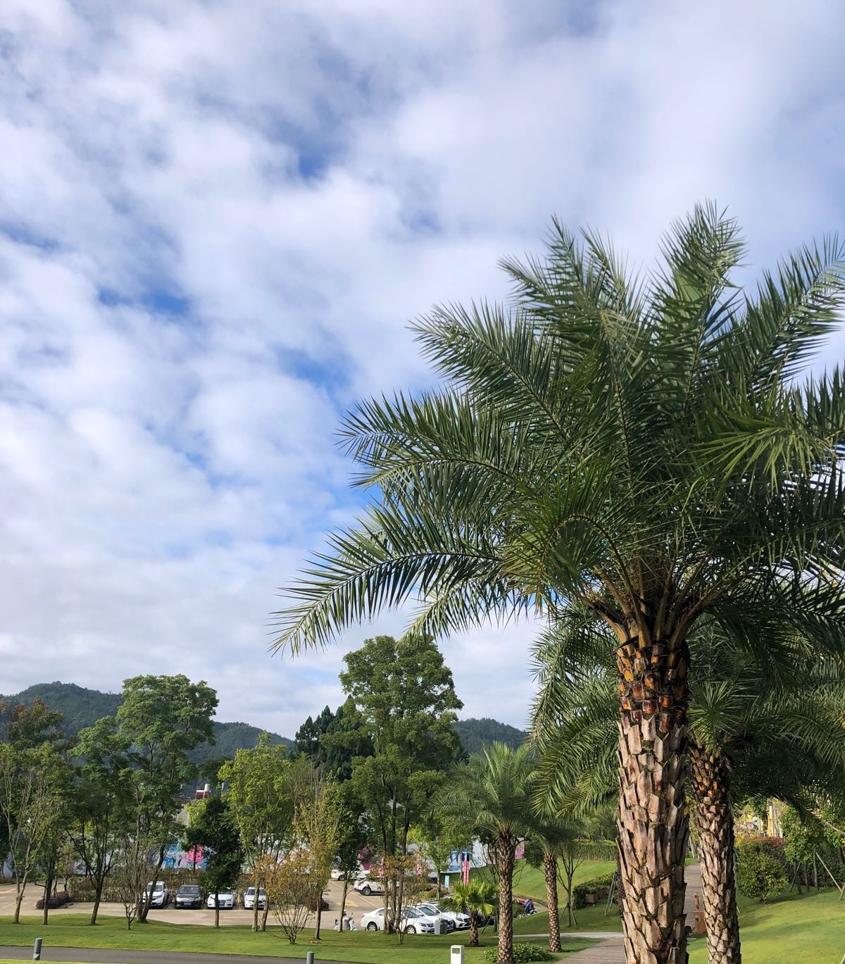 花雨梦居A7-1