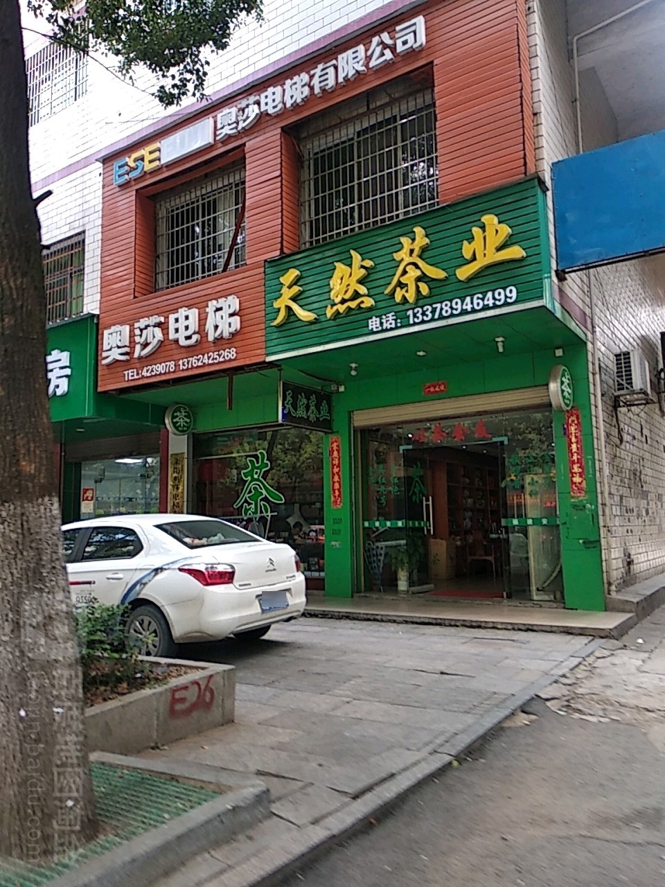 天然茶业(金阳西路店)