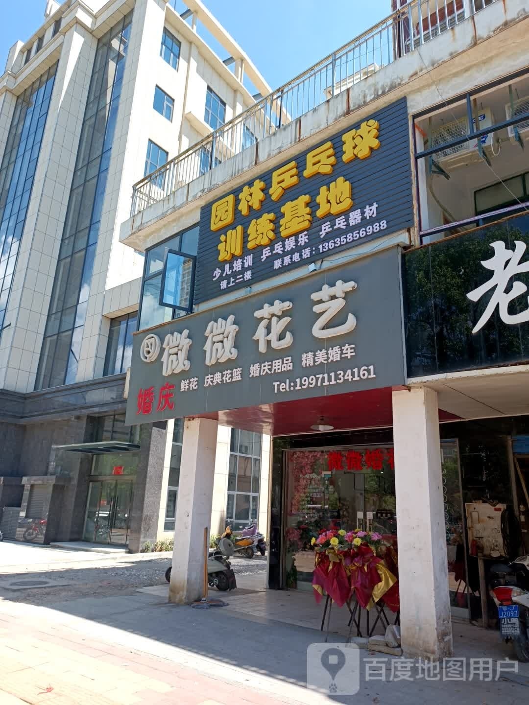 园林乒乓球训练基地