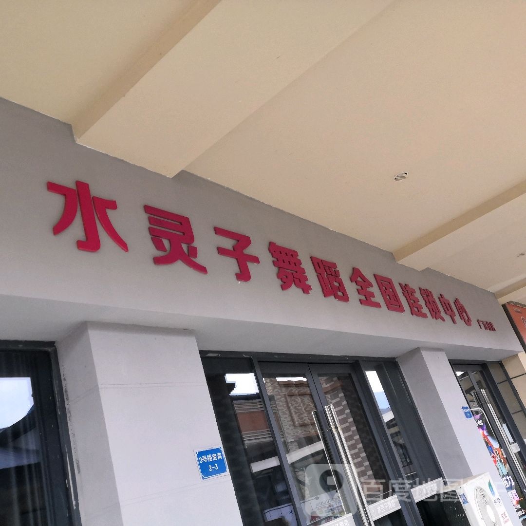 水林子舞蹈(广元分店)