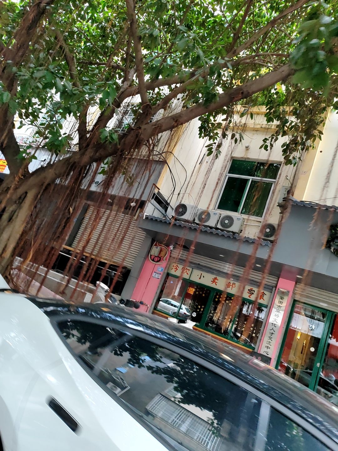 莆田市麻将文化人才交流中心