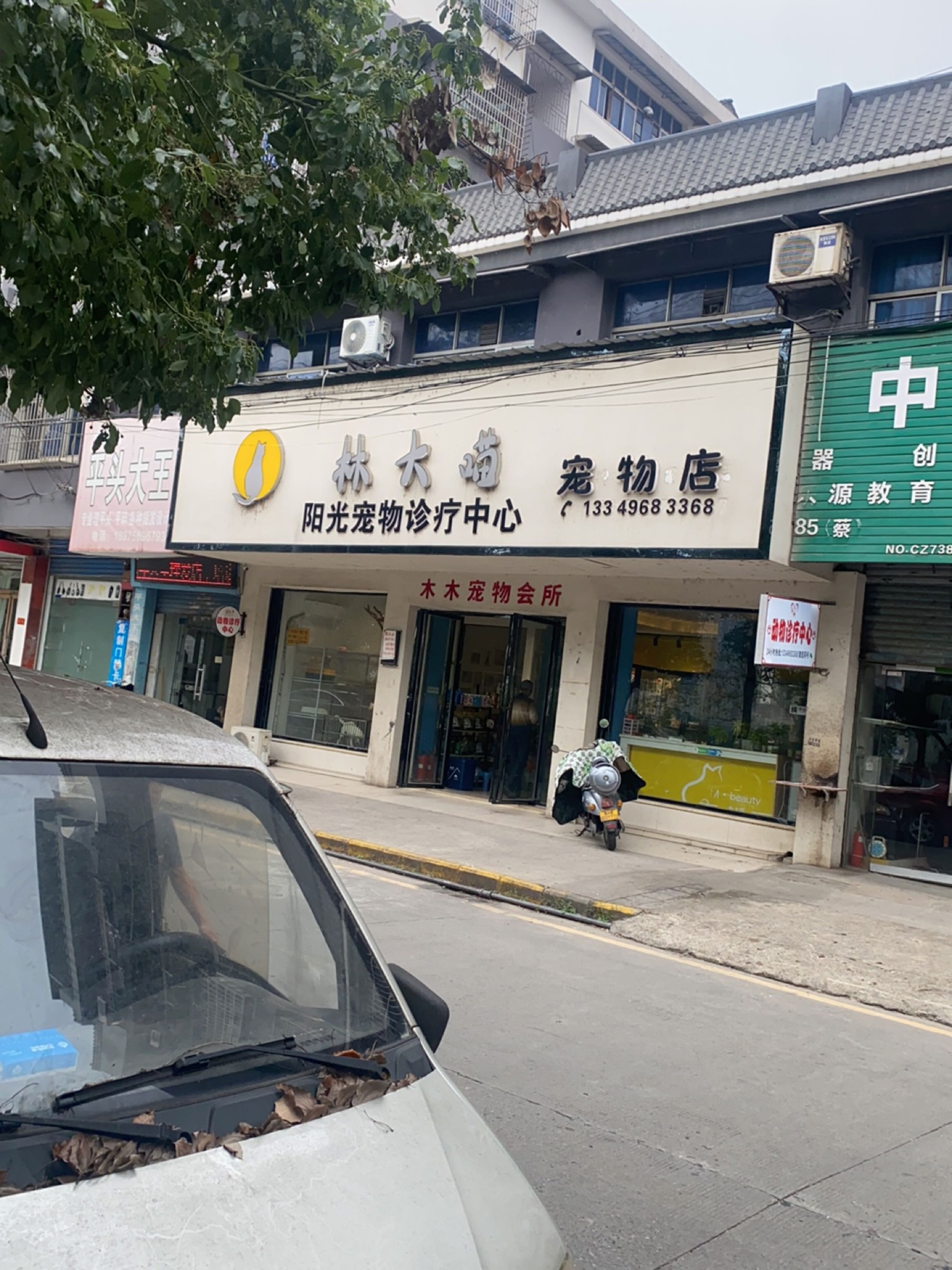 林大喵宠物店