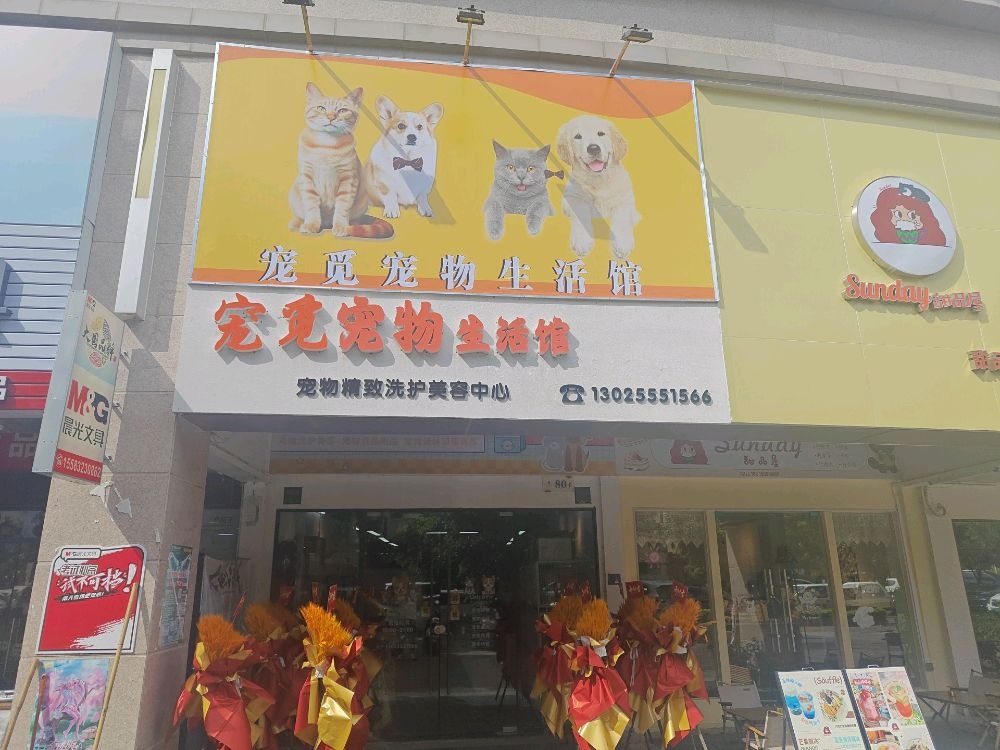 宠觅宠物生活馆