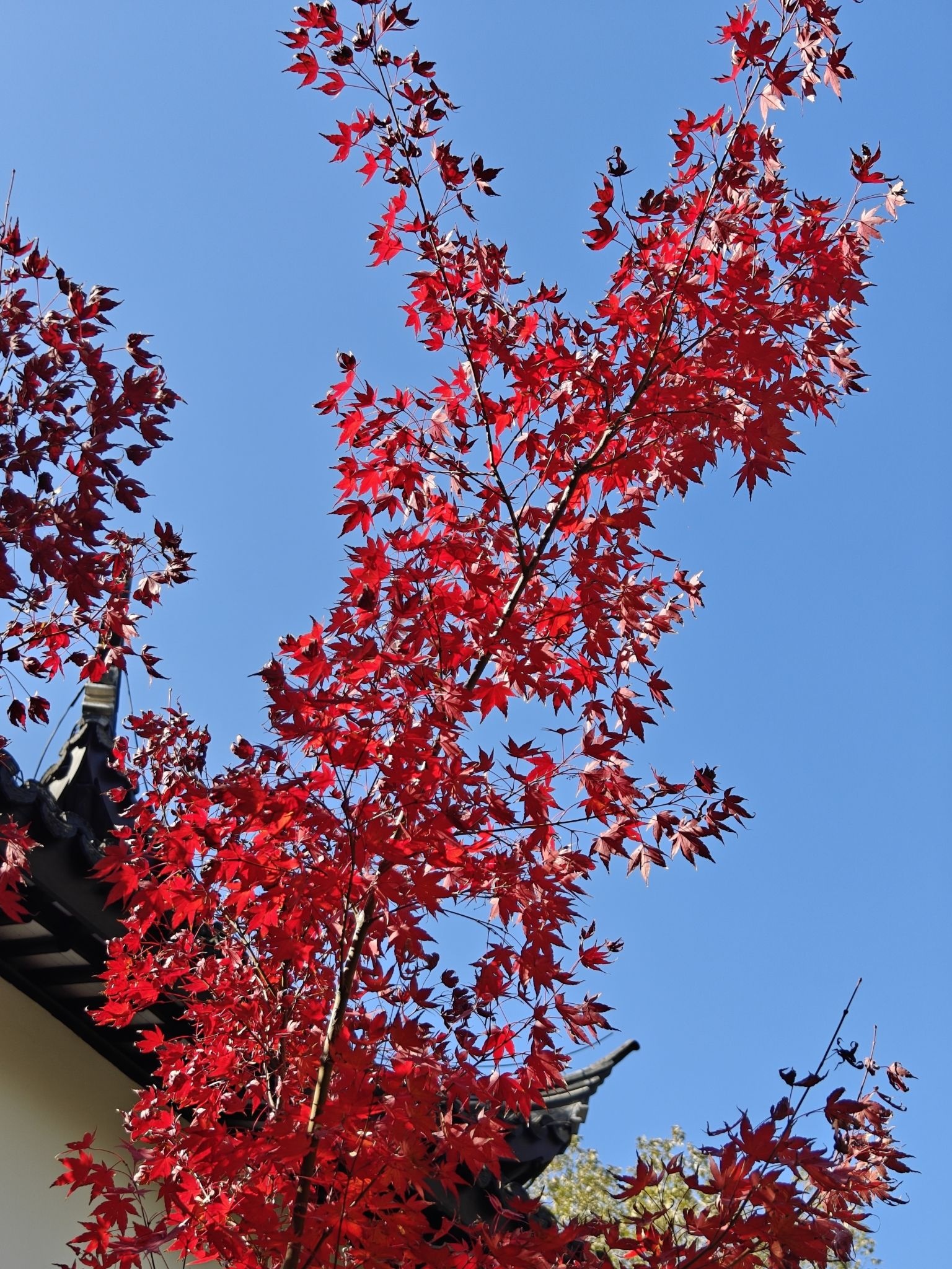 瓶山公园