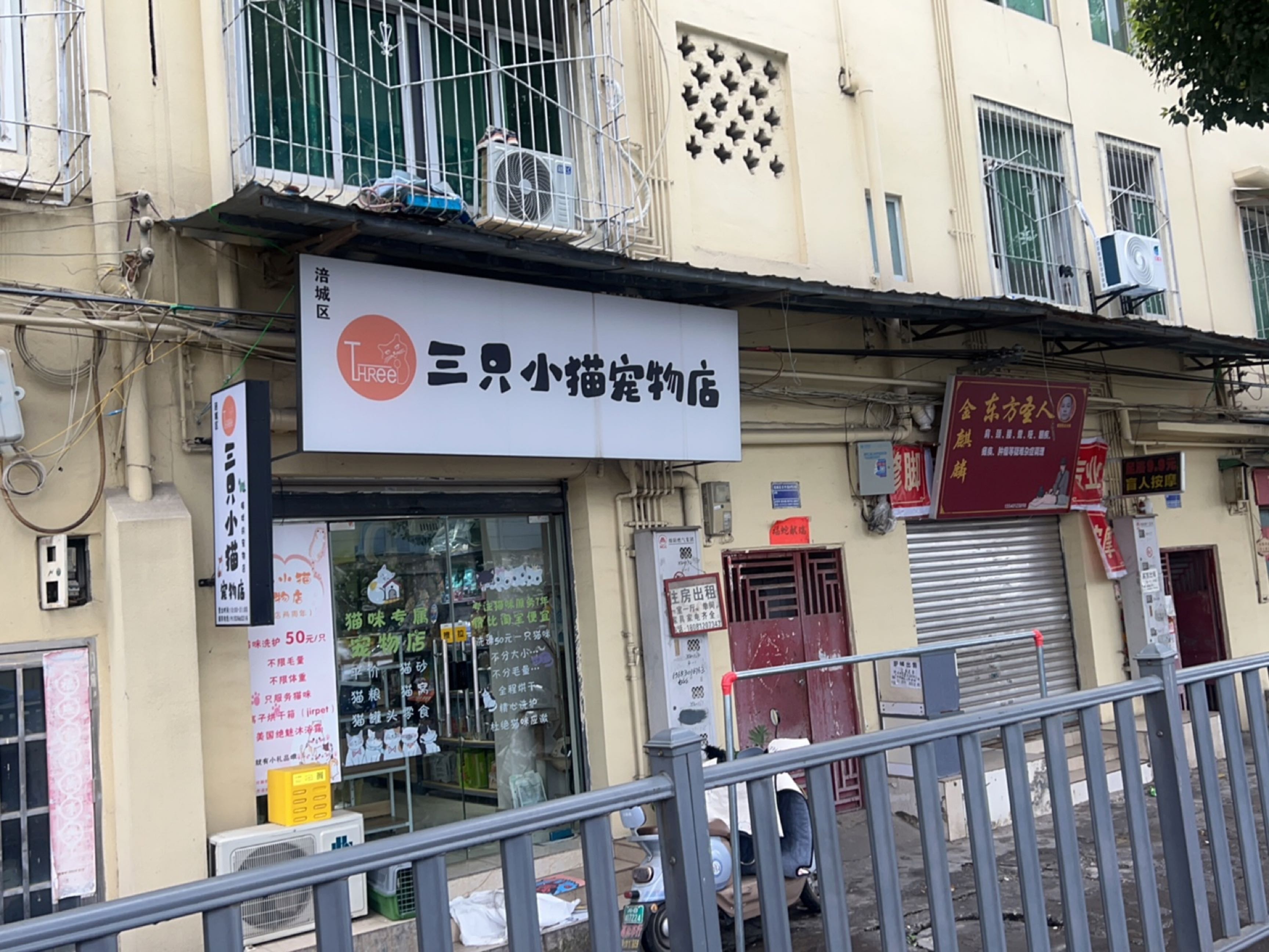 三只小猫宠物店