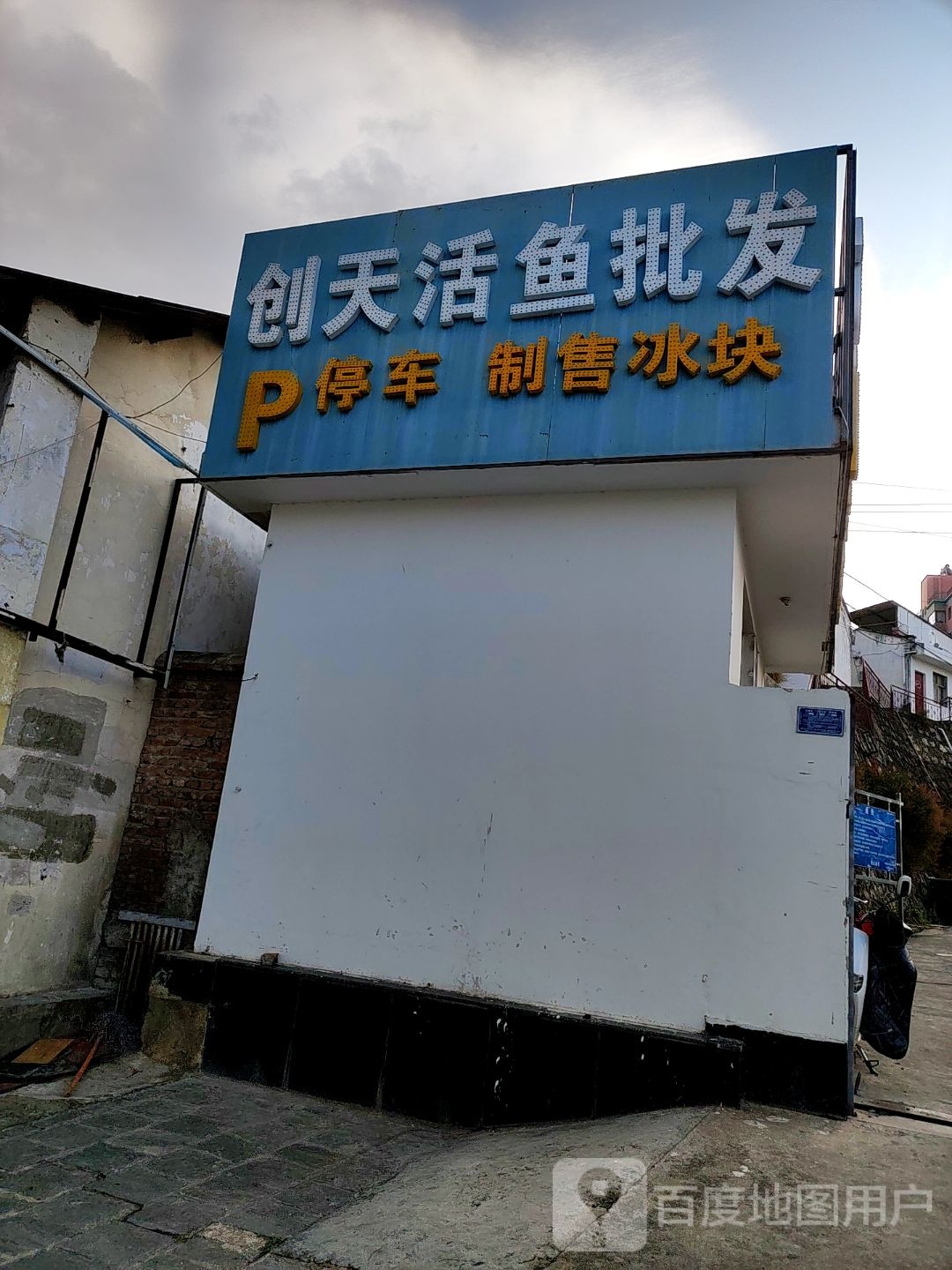 创天活鱼批发