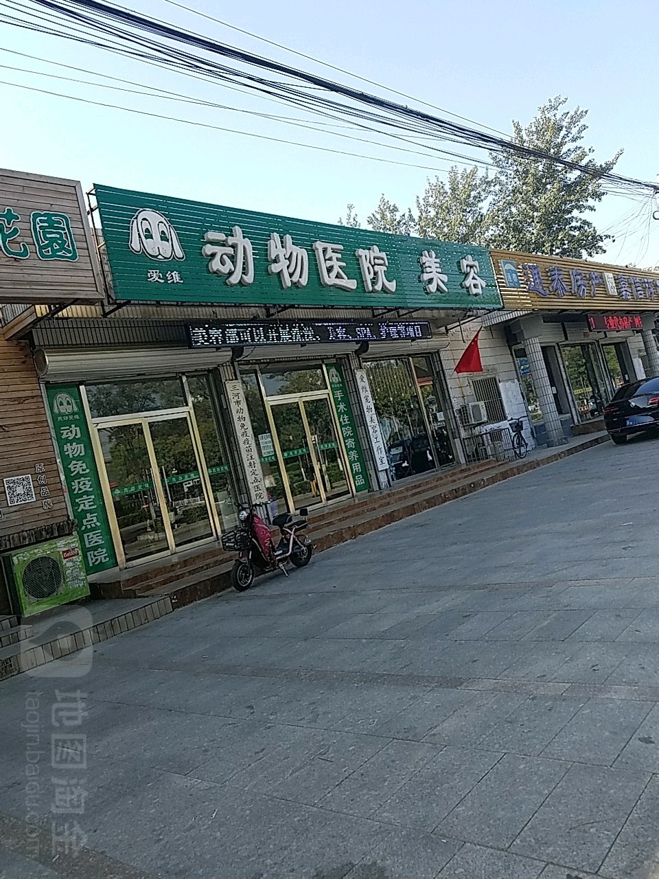 瑞派关忠动物医院燕郊爱维环岛店