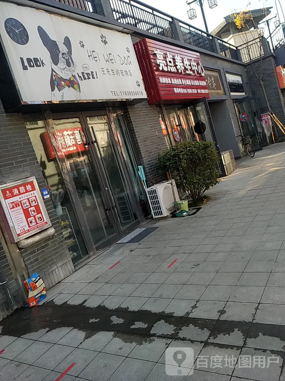 王老先的宠物店