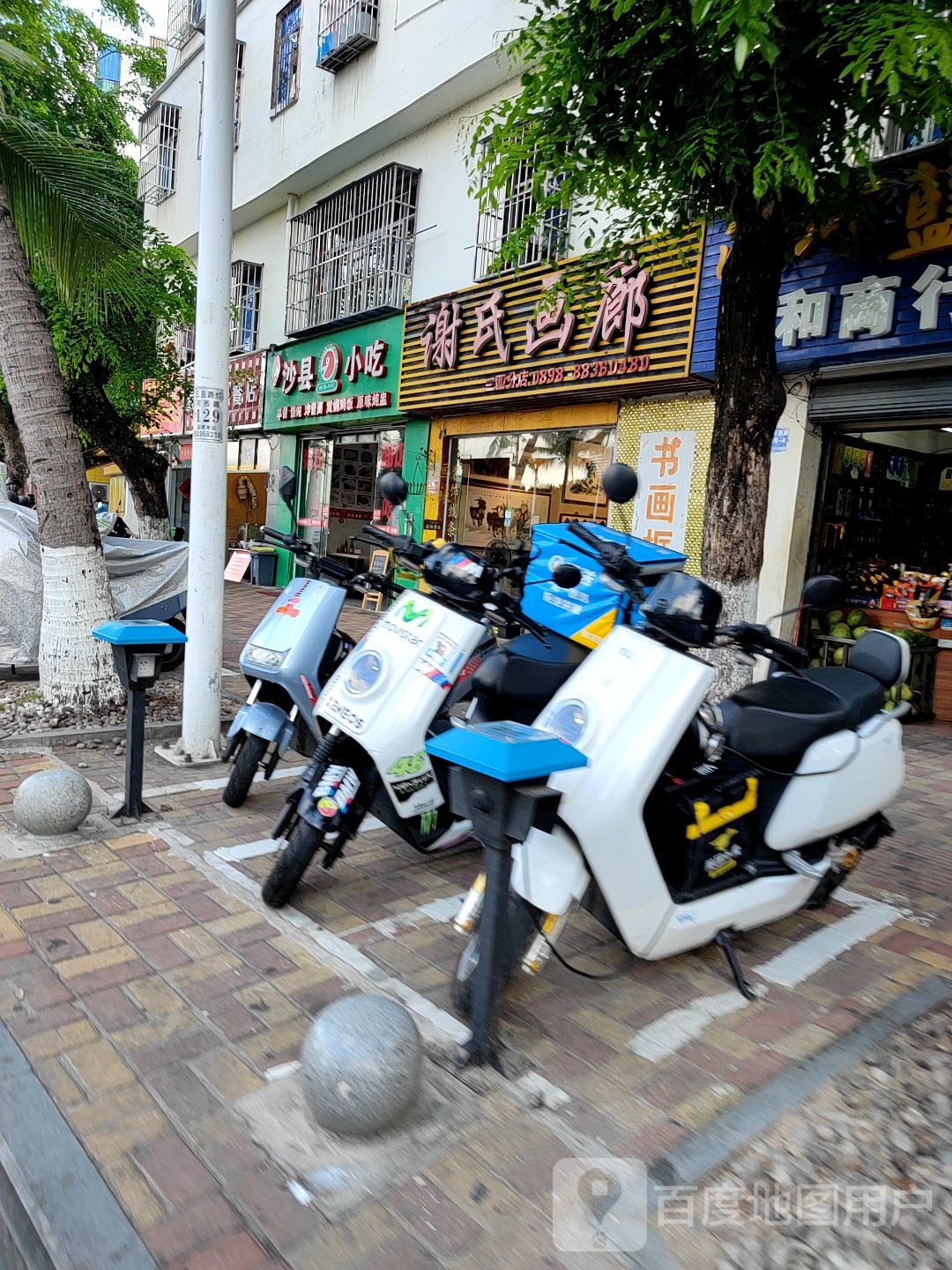 谢氏画廊(三亚分店)