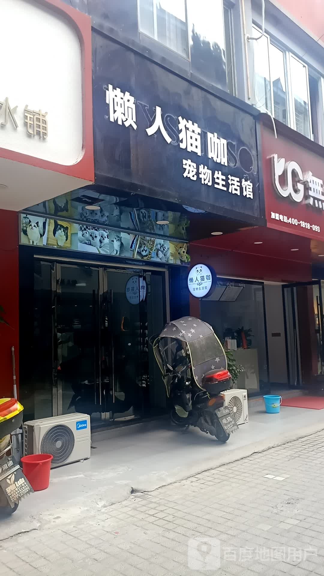 懒人猫咖宠物生活馆