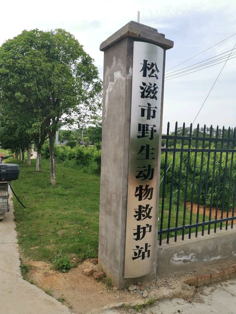 松滋市野生动物救护站