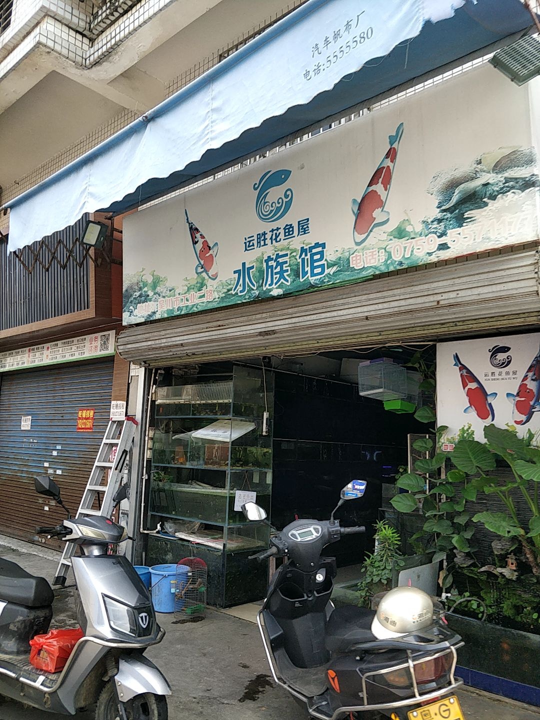 运胜花鱼屋水族馆