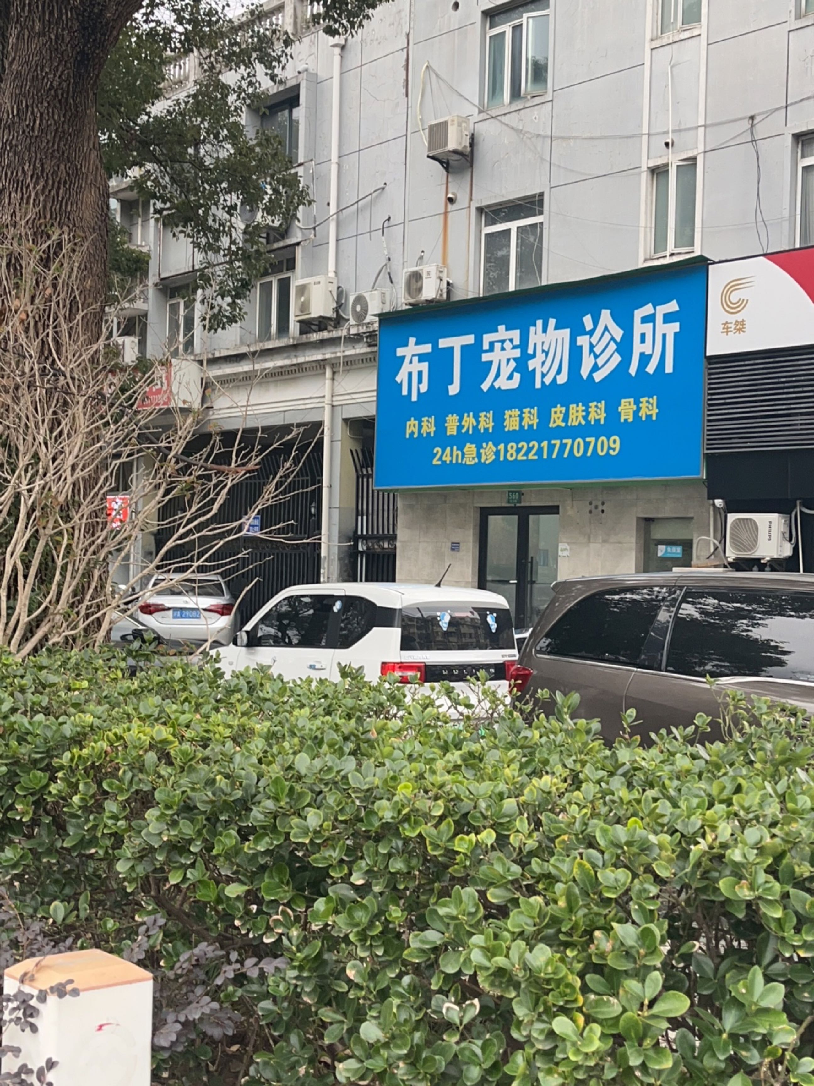 布丁宠物诊所(云山路店)