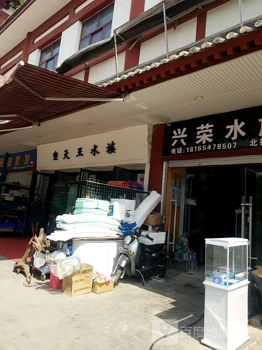 天和水族