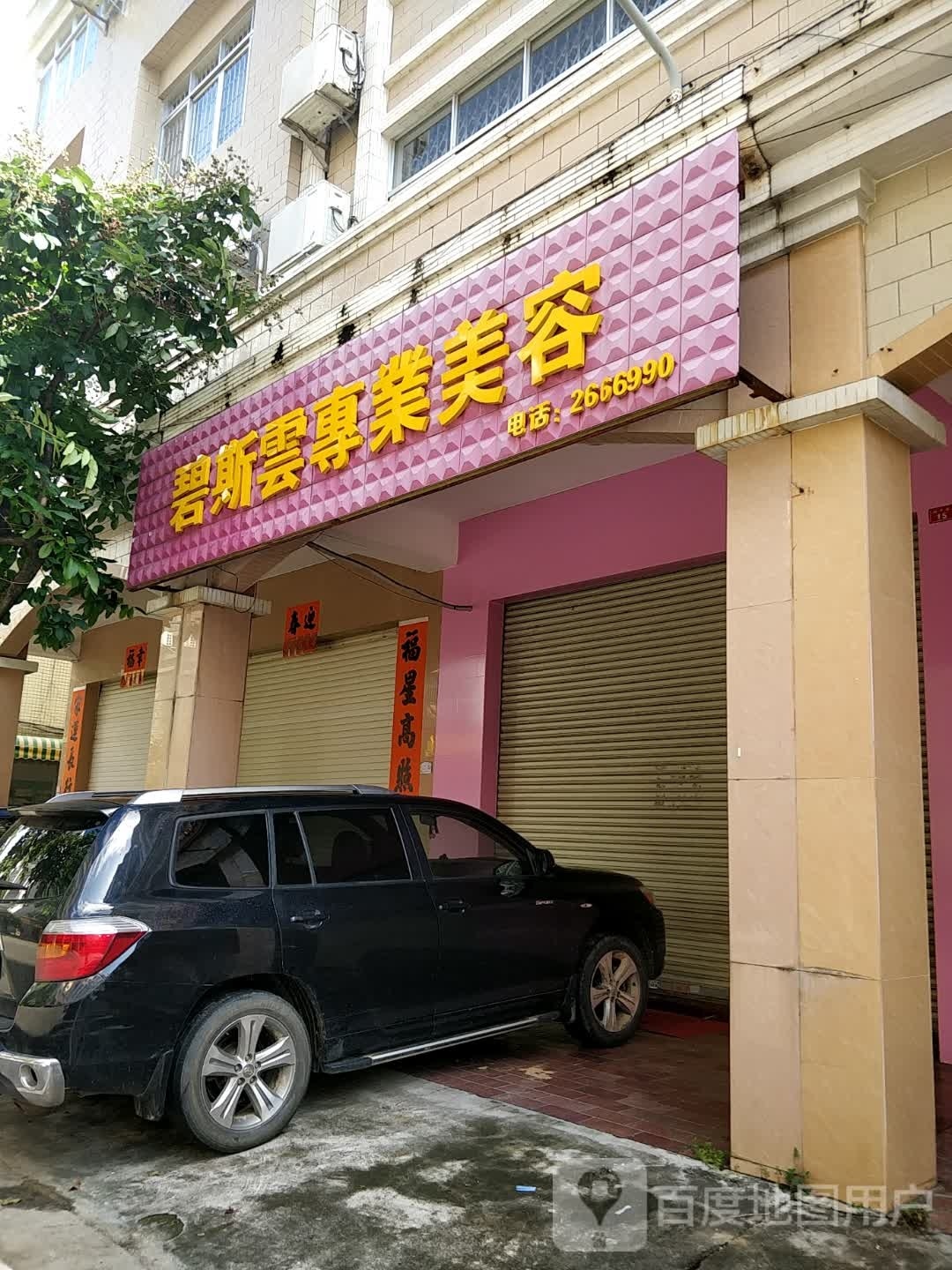碧斯云专业美容(新平花园店)