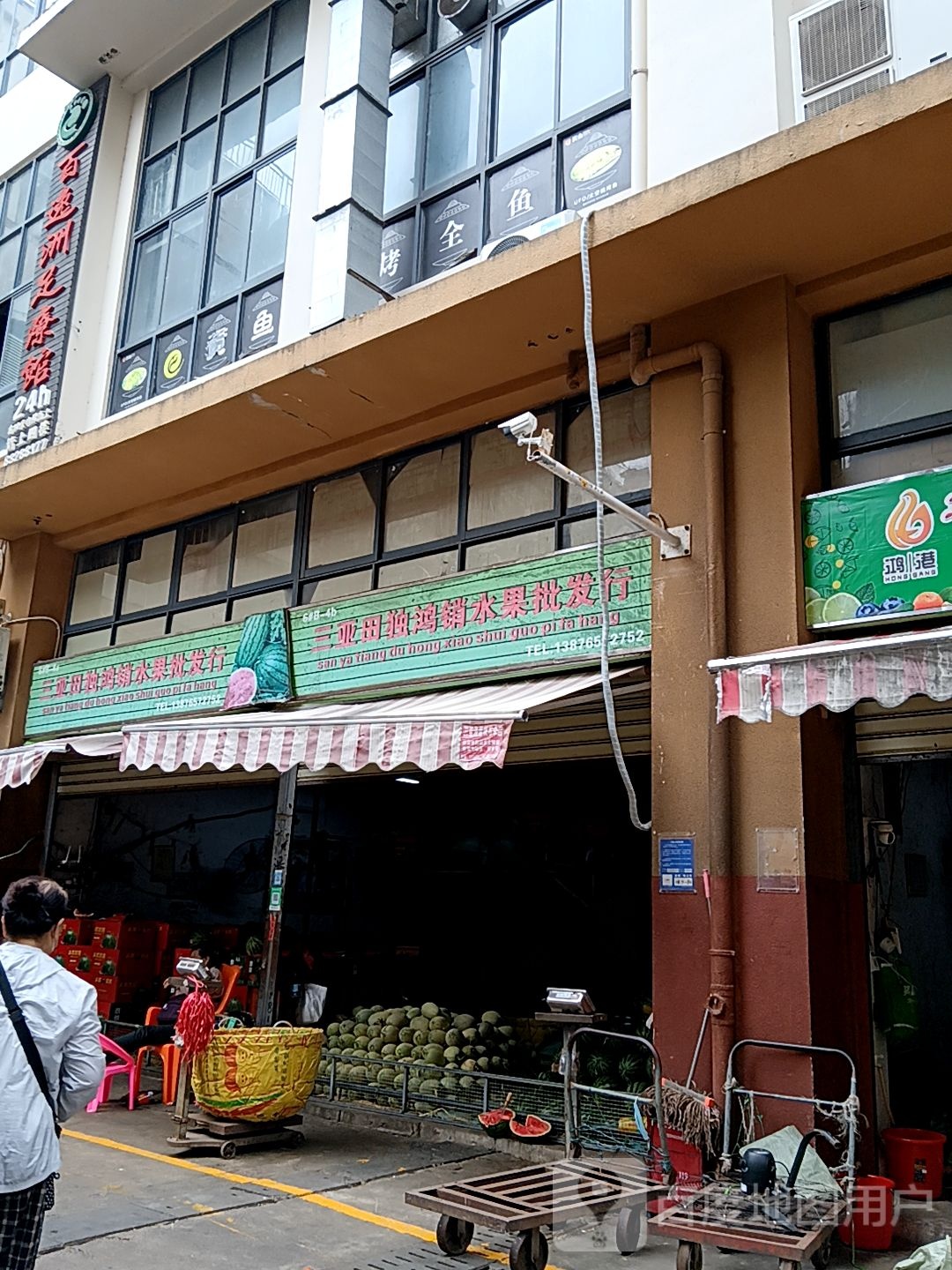 三亚田独鸿销水果批发行