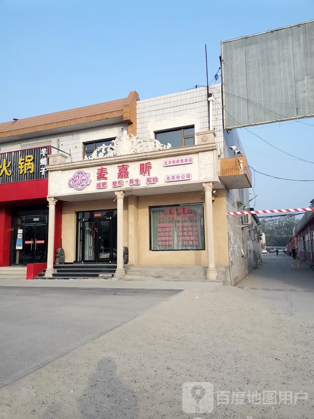 麦嘉新