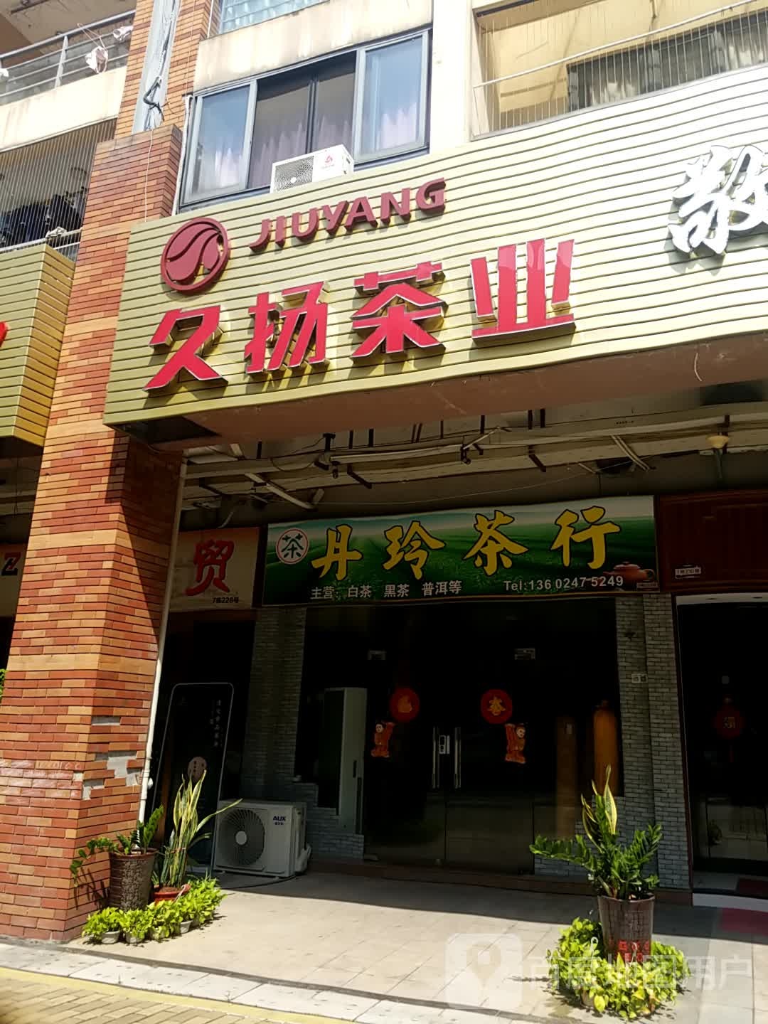 丹玲茶行
