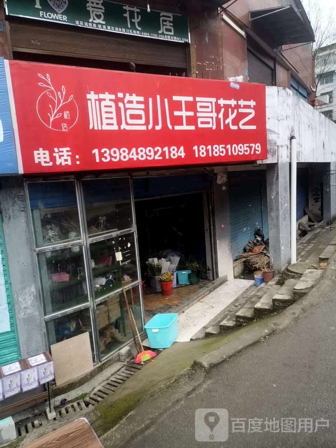 植造小王哥花艺
