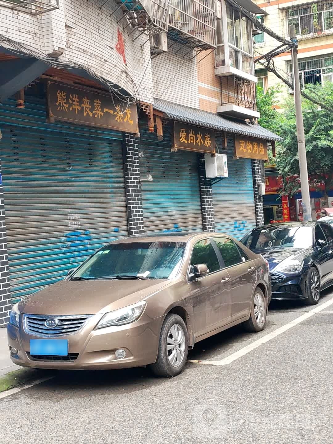 爱尚水族(大石路)