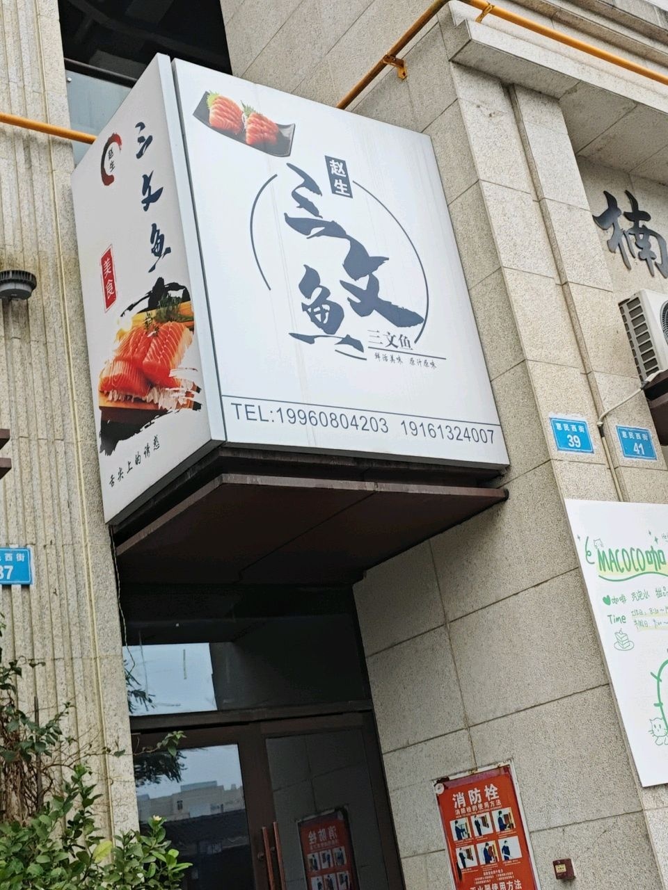 赵生三文鱼