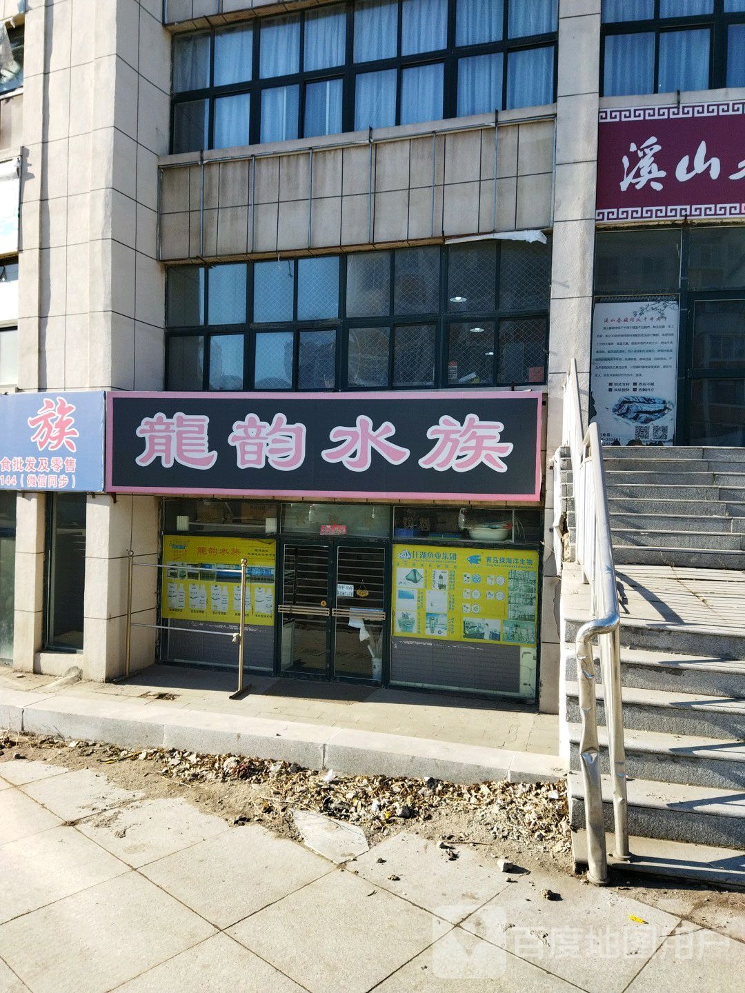 龙韵水族
