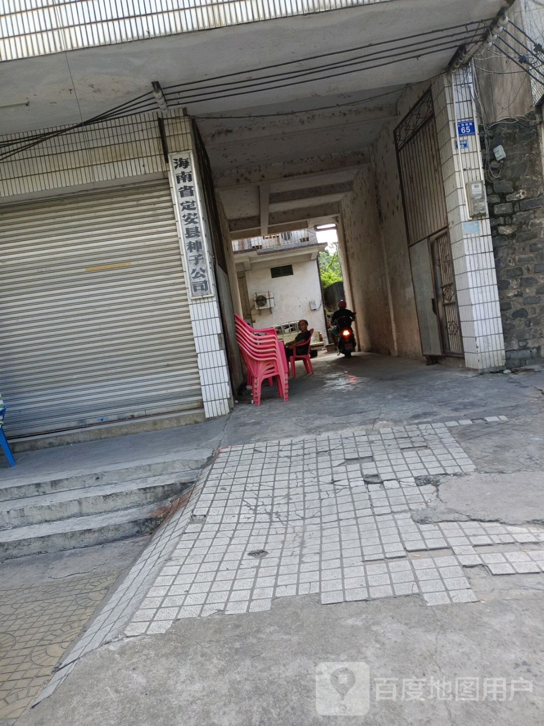 海南省定安县种子公司