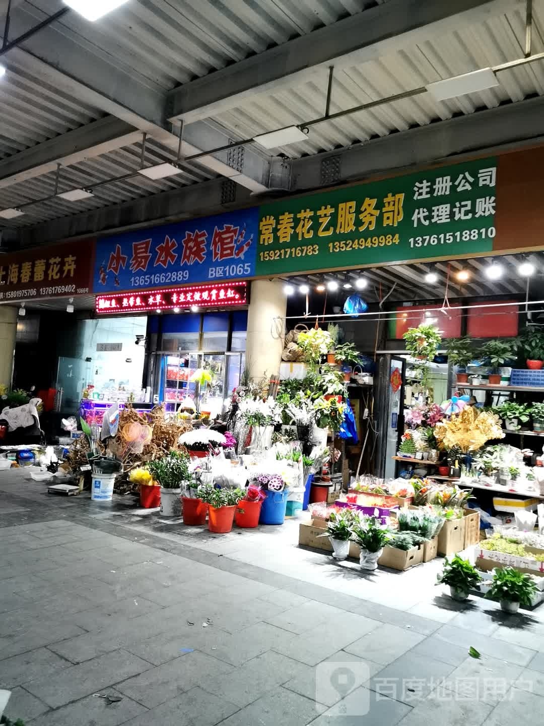 小易水族馆(上海美陈广场店)