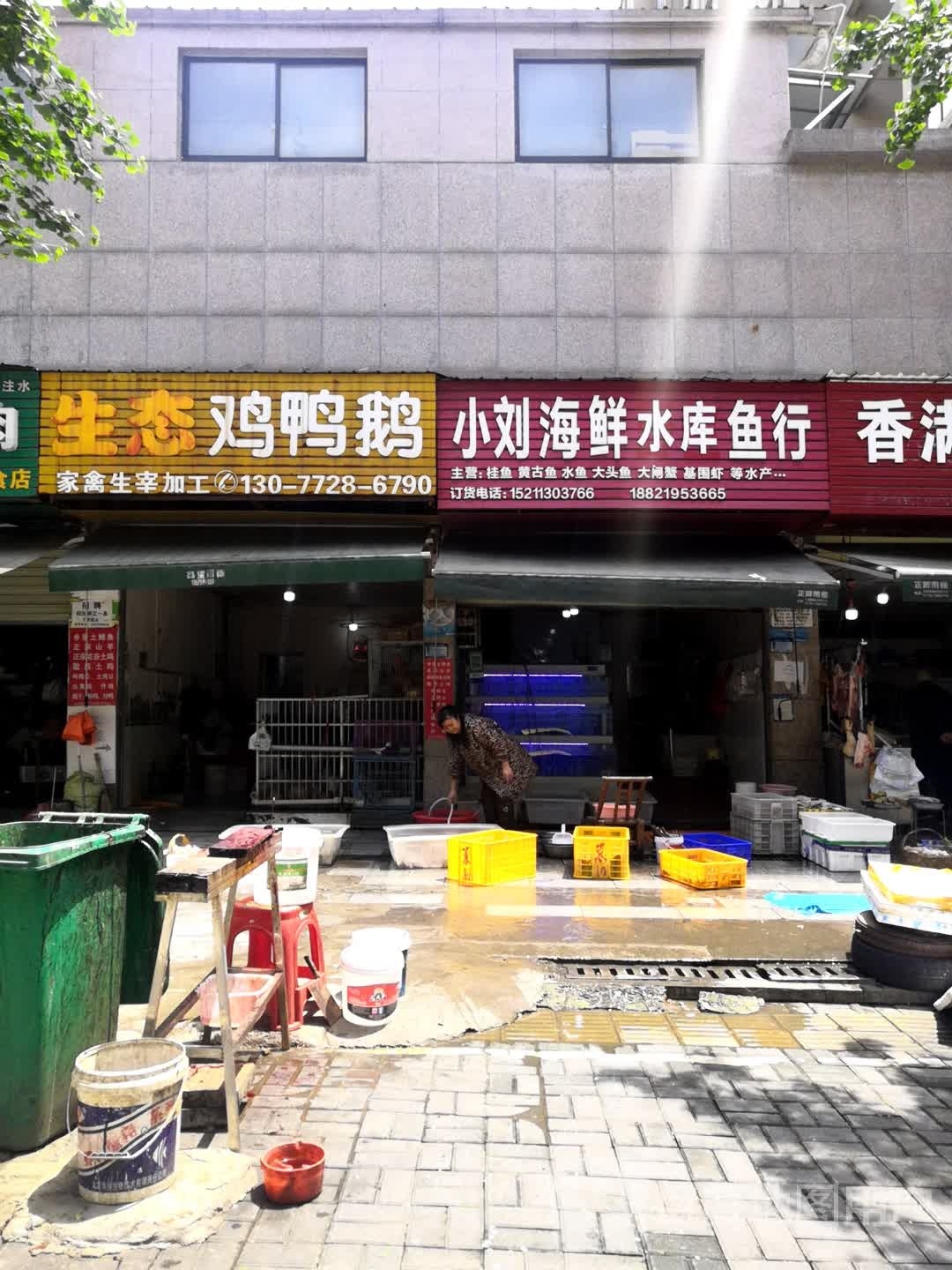 小刘海鲜水库鱼行(白马·青秀店)