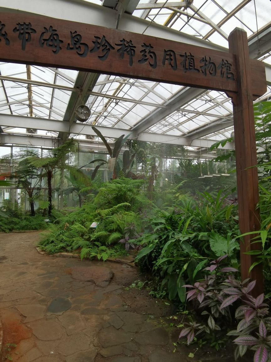 热带珍稀植物园