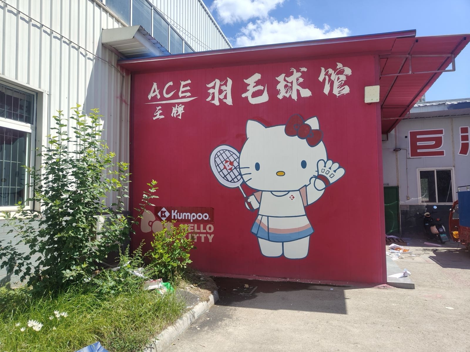 薰风·ACE(王牌)羽毛球馆