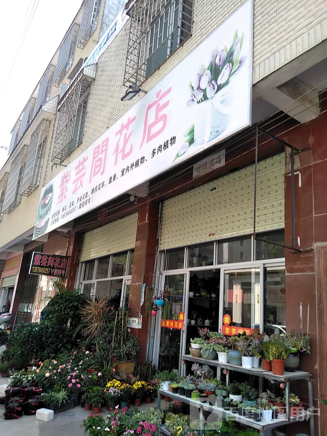 紫芸间花店