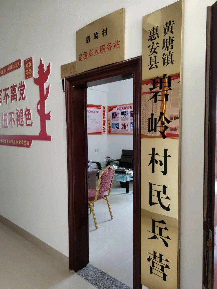 黄塘镇碧岭村退役军人服务站