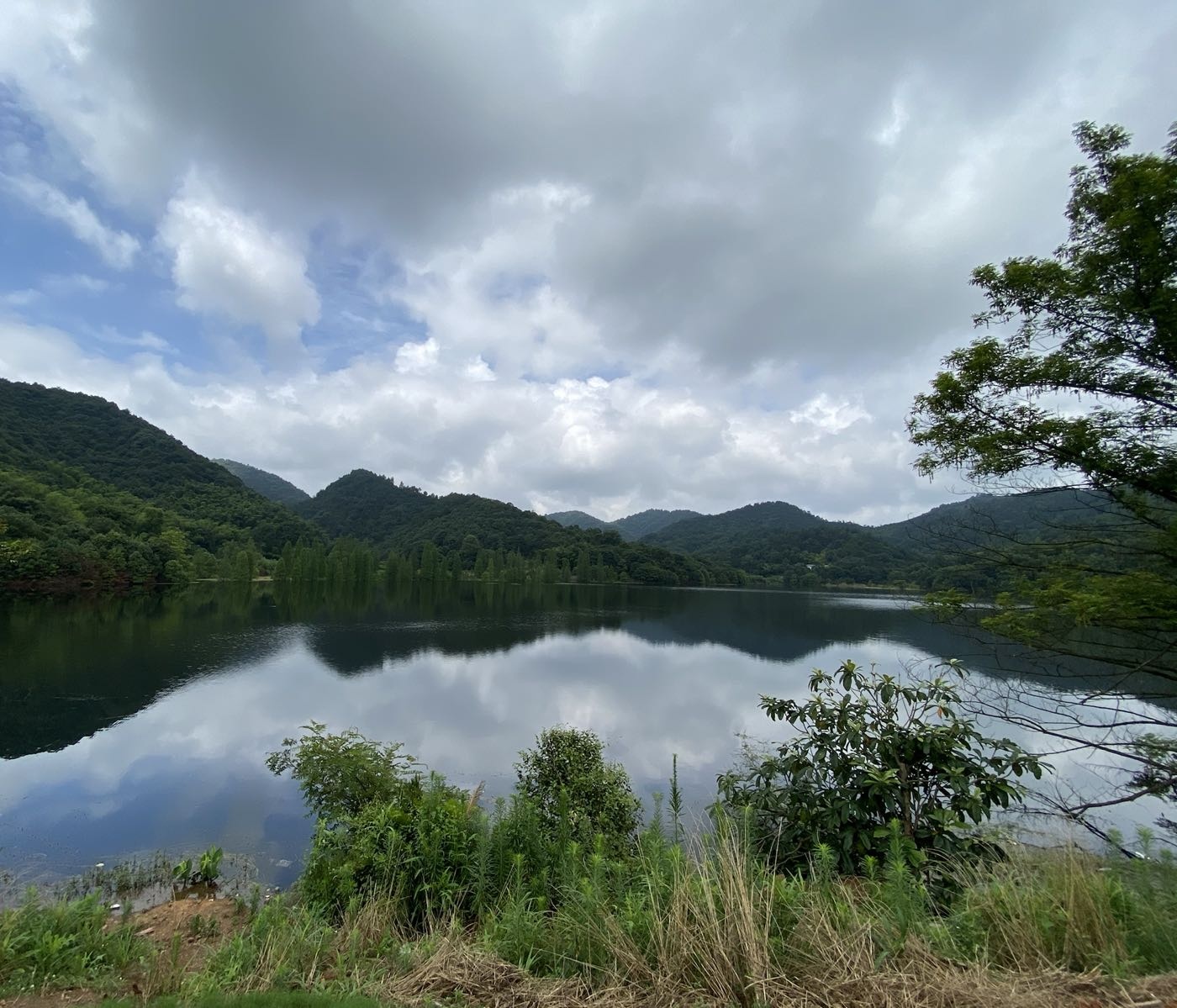 象鼻窝森林公园