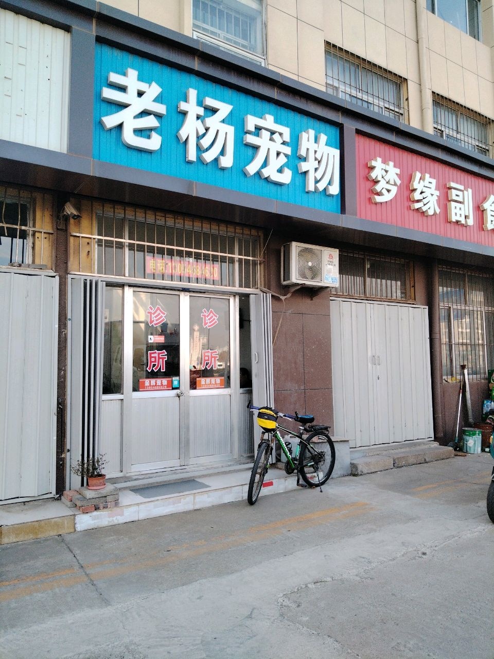 老杨宠物
