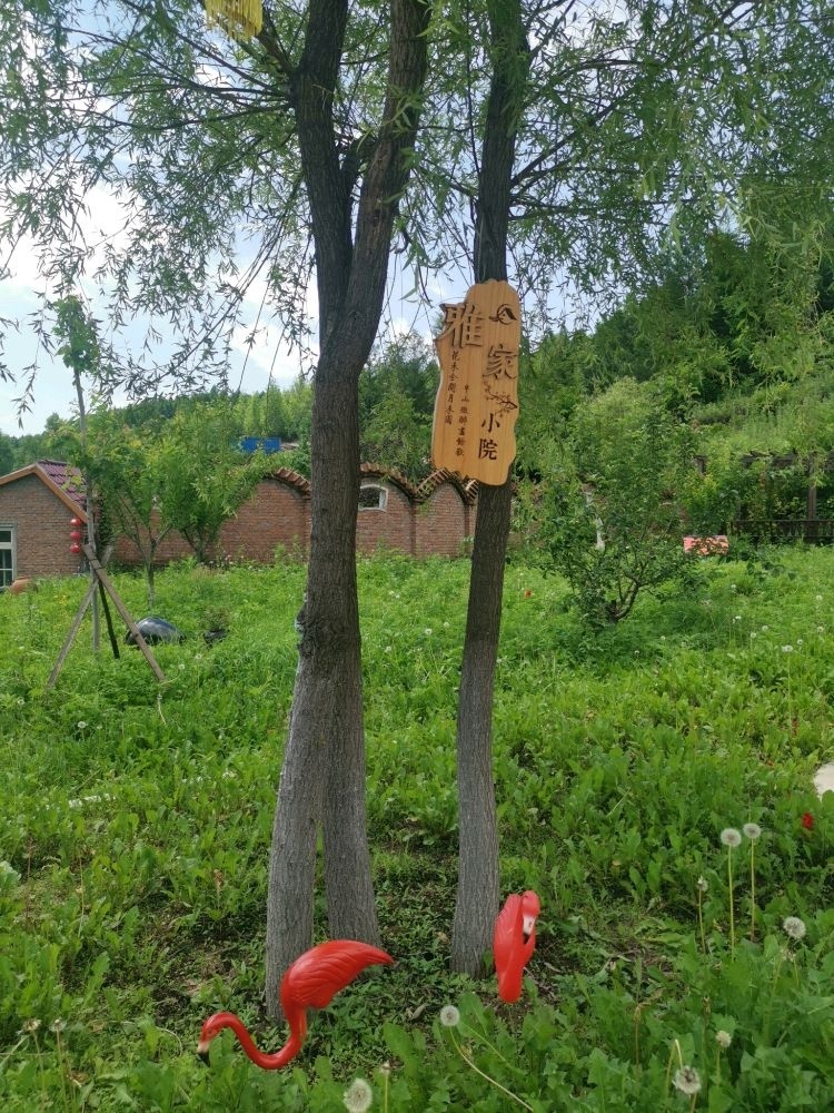 雅家小院