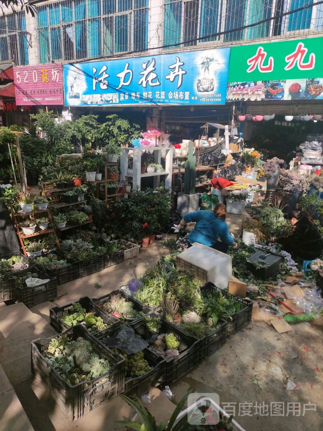 520花坊(军民路店)