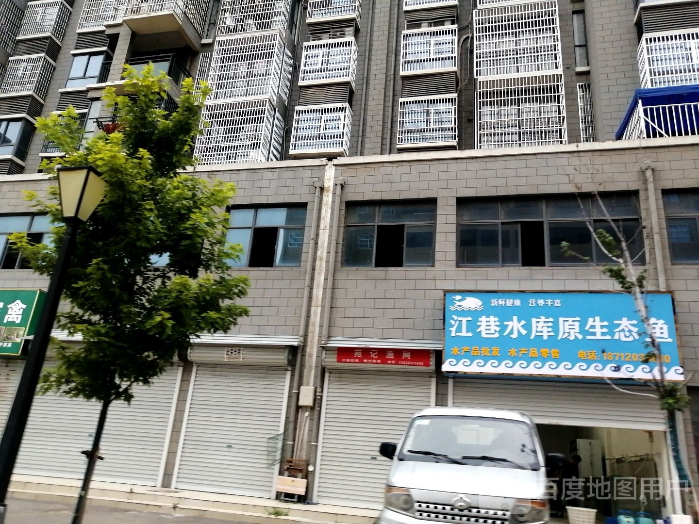 江巷水库原生态鱼